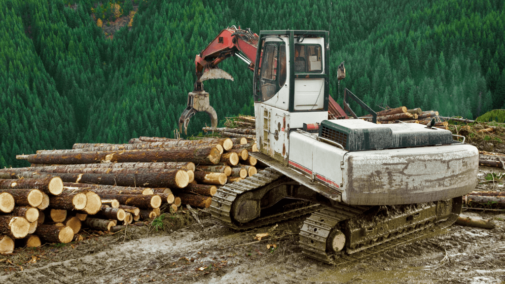 downed trees and tracked machinery